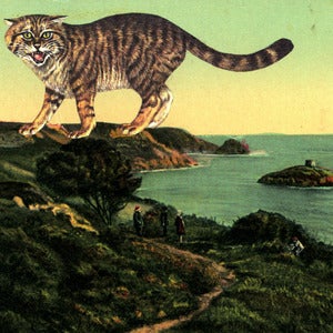Image of Artists' print - Holding steady
