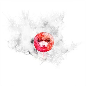 Image of Red Moon