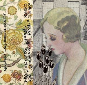 Image of **Sold Out** Alice Cohen | Wild Vines and Tenement Shrines | TAPE + T-Shirts | $21