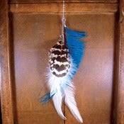 Image of Feather Earring Blue, White, Tan