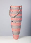 Image of the Dunce Bag