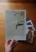 Image of Back Issues - A whole bunch!