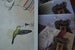 Image of Back Issues - A whole bunch!