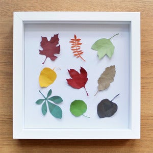 Image of Abscission Framed Paper Leaves