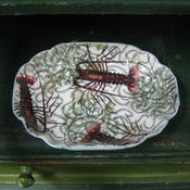 Image of Lobster Dish