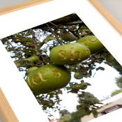 Image of Let's share