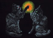 Image of Lazer High-5