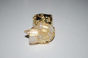 Image of golddigger