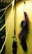 Image of Gloom Feathers