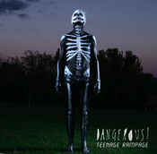 Image of 'TEENAGE RAMPAGE' LP/CD