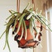 Image of Leather hanging planter