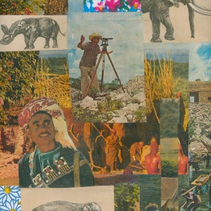 Image of Brandon McLean | Evoultion