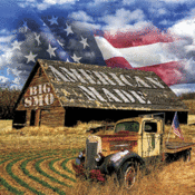 Image of AMERICAN MADE 