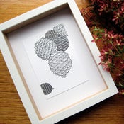 Image of Bunya 1 (Bunya Series)