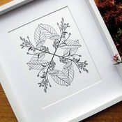 Image of Croton
