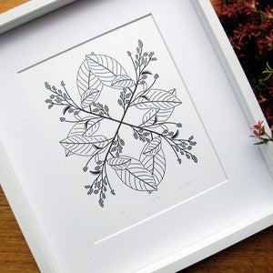 Image of Croton