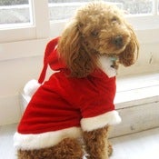Image of Santa Suit