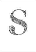Image of S for Shells (from Set of Alphabet)