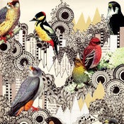 Image of Bird Collage Print