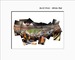 Image of 100 - Neyland Stadium - Tennessee vs. Alabama