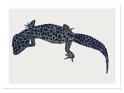 Image of Gecko A4