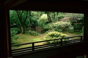 Image of Japanese Garden