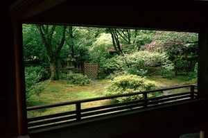 Image of Japanese Garden
