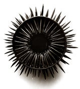 Image of Spiky Spiky Bowl by Ikuko Iwamoto.