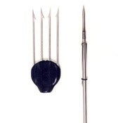 Image of Sdive Fiocina k4 