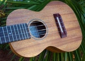 Image of Pono Acacia Concert