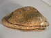 Image of Stonester 11