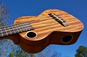 Image of RipTide UC-5NS Player Pack