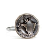 Image of Small World Ring