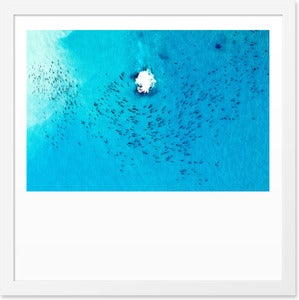 Image of California