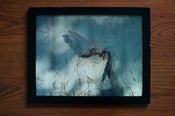 Image of Broken Wings