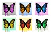 Image of Splat Butterflies Series 2