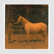 Image of Fairydust print