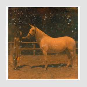 Image of Fairydust print