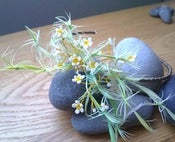 Image of Daisy Feather Headpiece