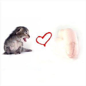 Image of Pussy Loves Prick