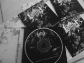 Image of i AM esper-The Ghosts Of The Fallen Trees, Awaken the Living