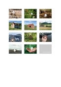 Image of Homescapes