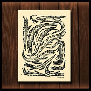 Image of Alligator Pattern