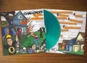 Image of 12" Vinyl LP 'We Ruined the Neighborhood'