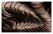 Image of Shells print