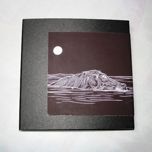 Image of The Doomed Bird of Providence - The Bell of the Jardines