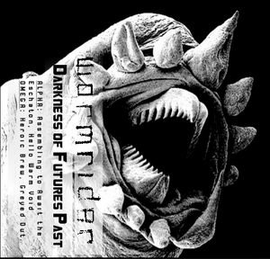 Image of Wormrider - Darkness of Futures Past