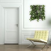 Image of Wallnatura Marco Vegetal