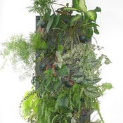 Image of Wallnatura Totem Suelo