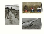 Image of project.001: Sudan.  Notecards